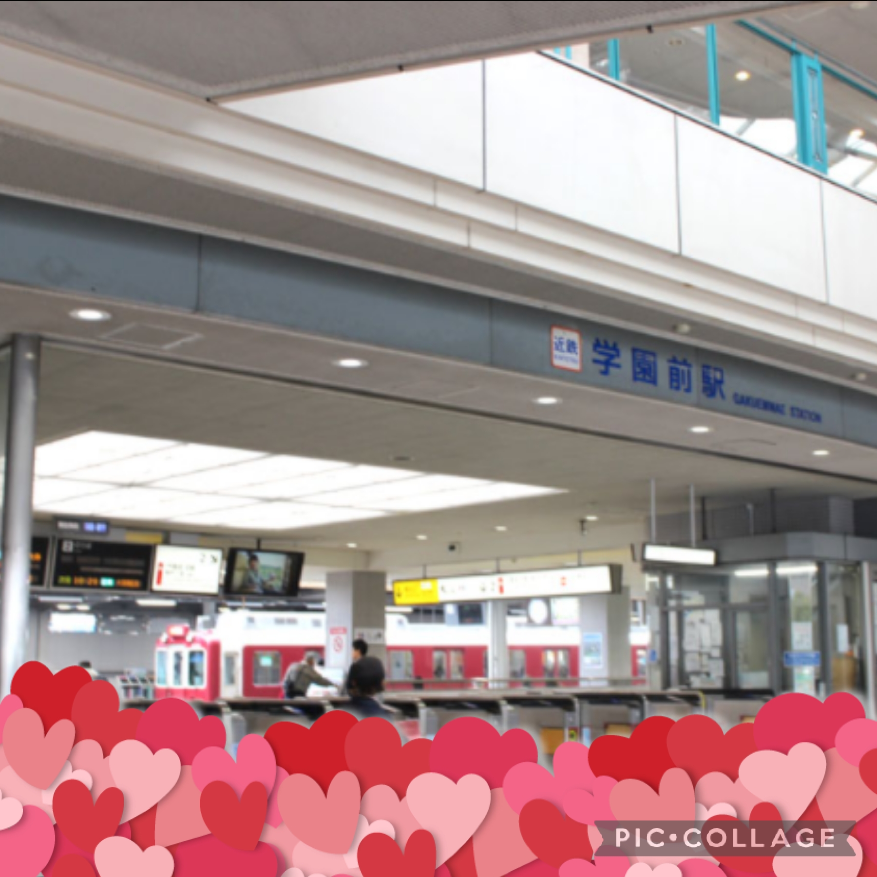 (外観)