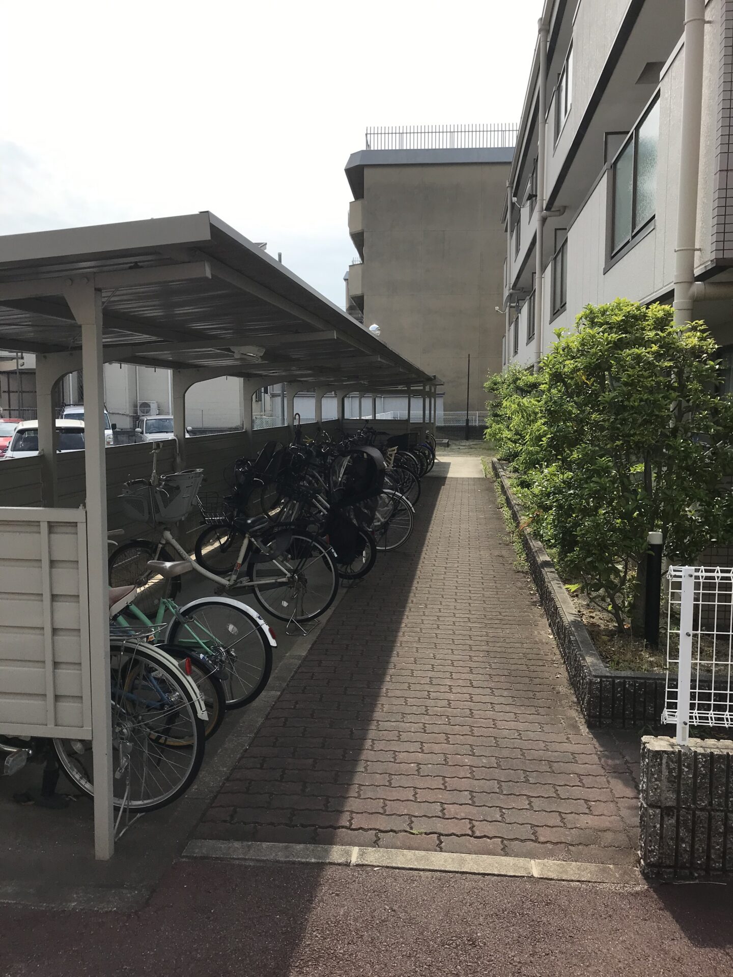 (駐輪場)